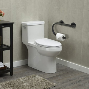 Designer Grab Bar w/ Toilet Roll Holder