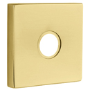 Modern Brass - Satin Brass - Square Rosette